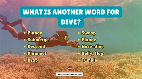 antonyms of dive